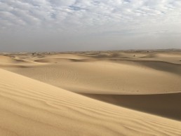 Abu Dhabi Wüste